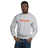 "Pretador" grey unisex sweater